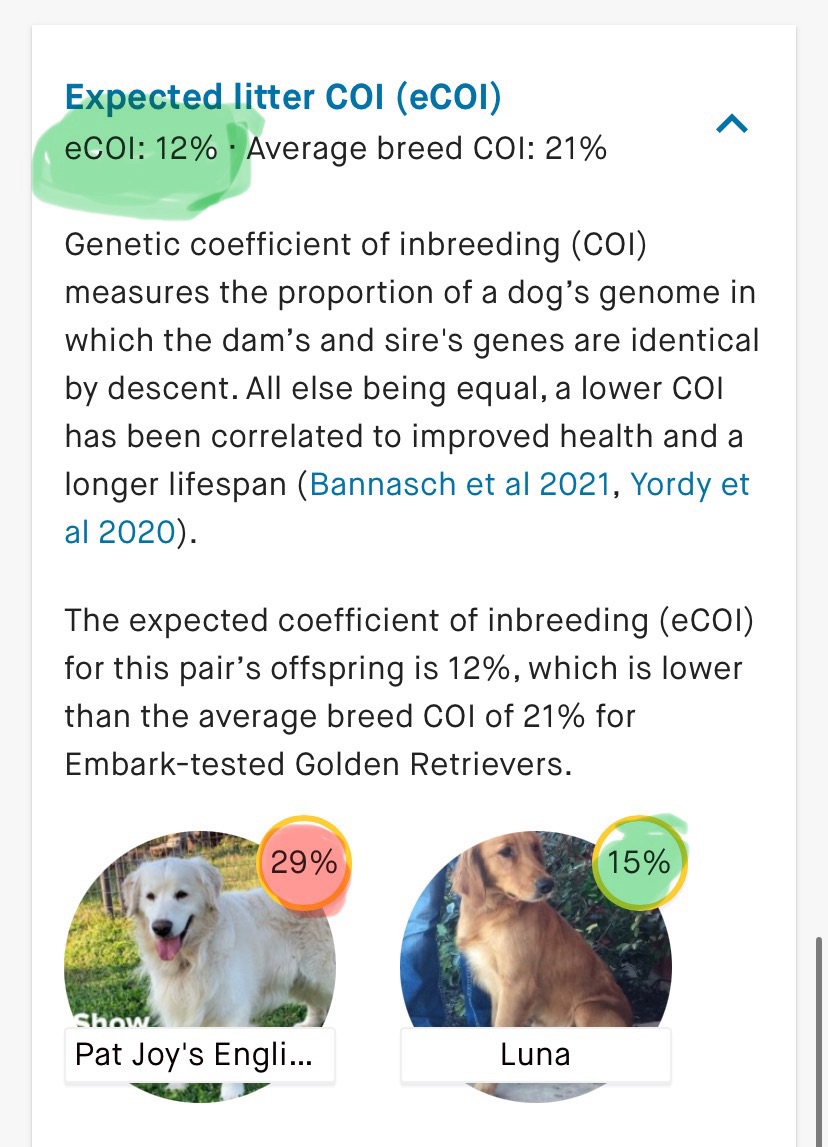 Should I Breed Inbred Dogs Should I Breed Inbred Dogs