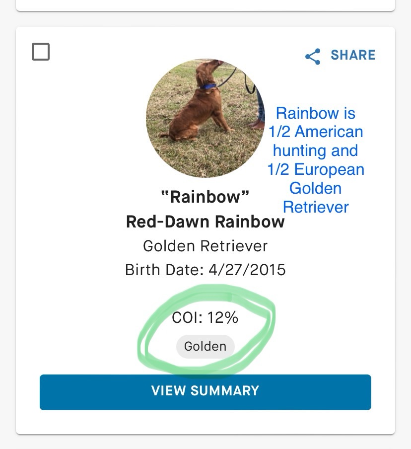 Should I Breed Inbred Dogs Should I Breed Inbred Dogs