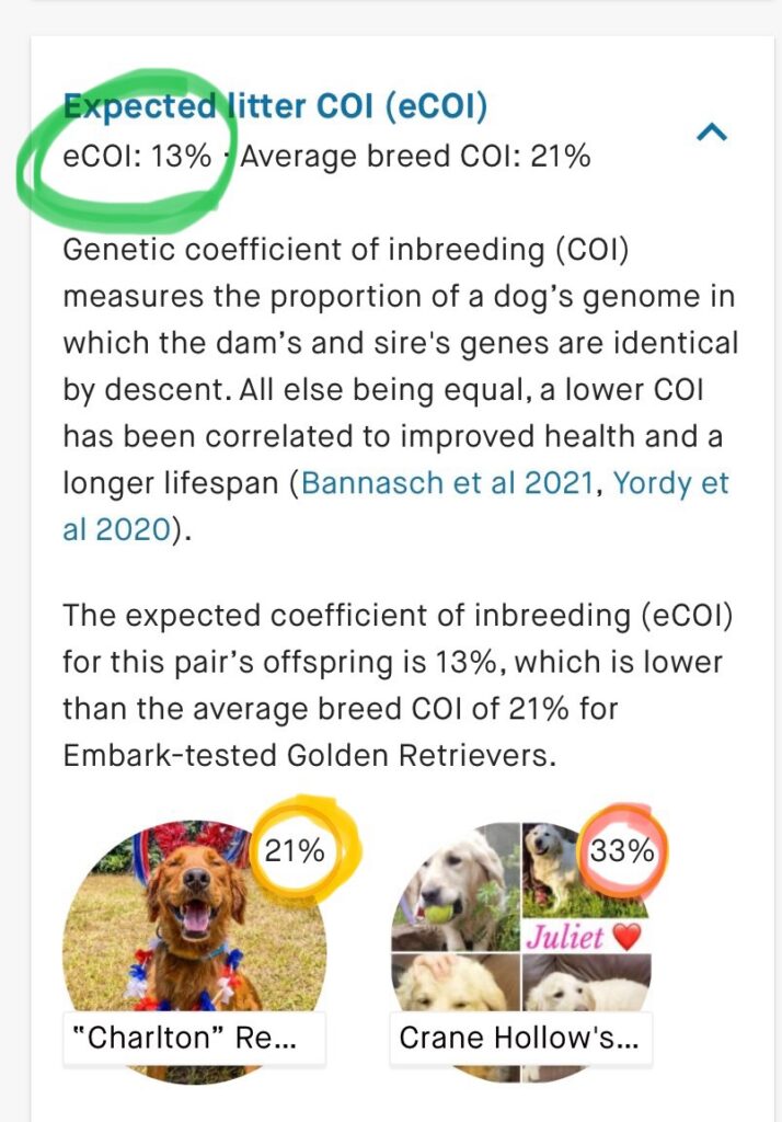 Should I Breed Inbred Dogs Should I Breed Inbred Dogs
