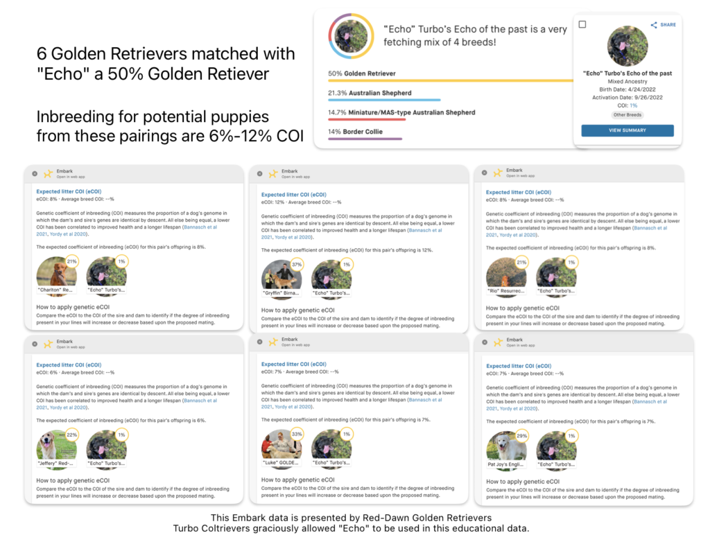 Inbreeding COI calculations of potential offspring of 6 Golden Retrievers with a 50% Golden Retriever named Echo