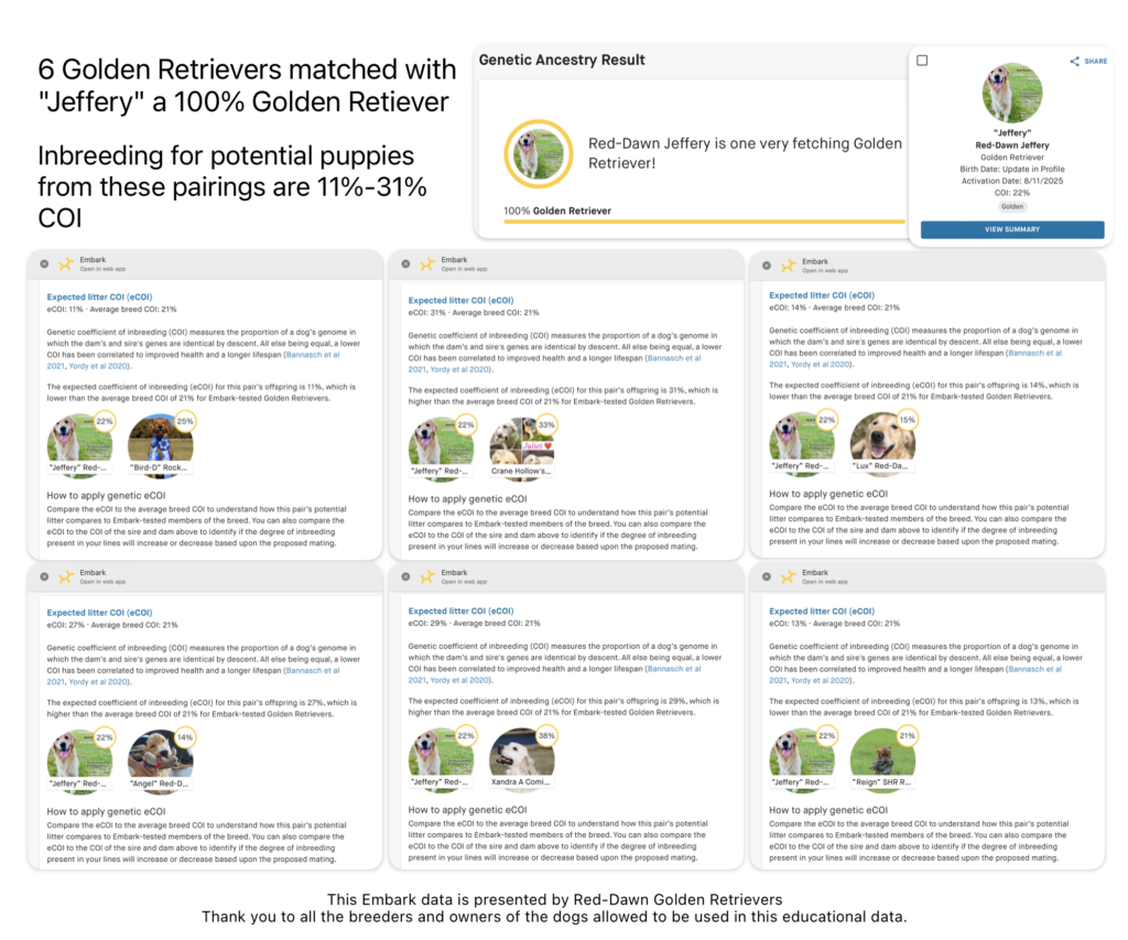 Jeffery a Golden Retriever is match with 6 female Golden Retrievers to find the inbreeding of potential puppies if these dogs were bred in the future
