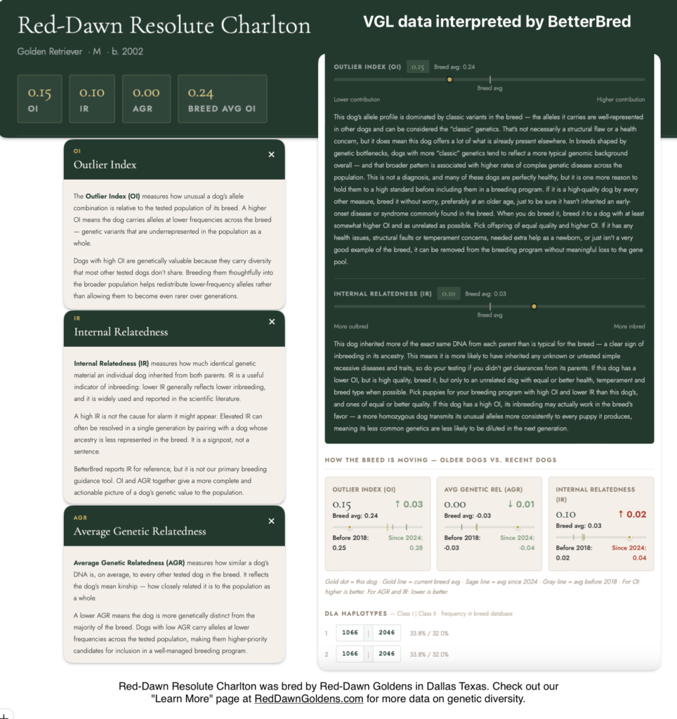 Red-Dawn Resolute Charlton a hunting bred Golden Retriever has his UC Davis VGL data interpreted by BetterBred to know details about his inbreeding