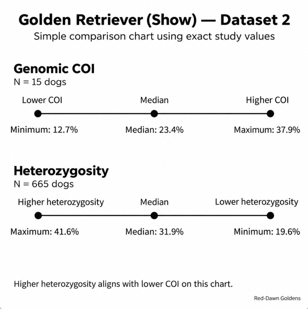 Simple chart showing Golden Retriever (Show) Dataset 2 results from Bannasch et al. (2021), comparing genomic COI and heterozygosity. The chart shows COI data from 15 dogs and heterozygosity data from 665 dogs, with minimum, median, and maximum values displayed on matching lines so that lower COI aligns with higher heterozygosity.